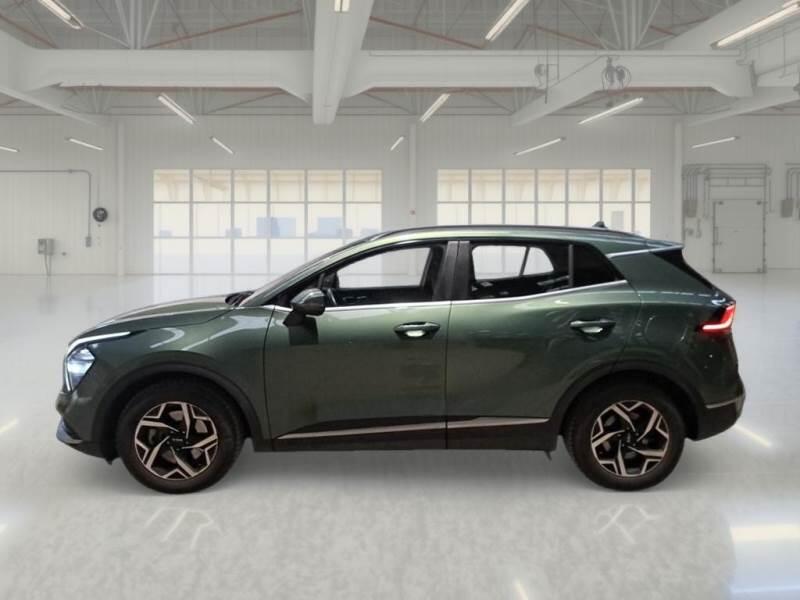 Kia Sportage SUV 1.6 CRDI MHEV BUSINESS 2WD DCT - foto 8