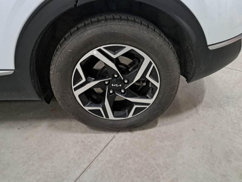 Kia Sportage SUV 1.6 CRDI MHEV BUSINESS 2WD DCT - foto 14