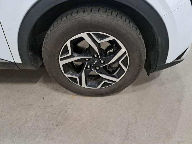 Kia Sportage SUV 1.6 CRDI MHEV BUSINESS 2WD DCT - foto 16