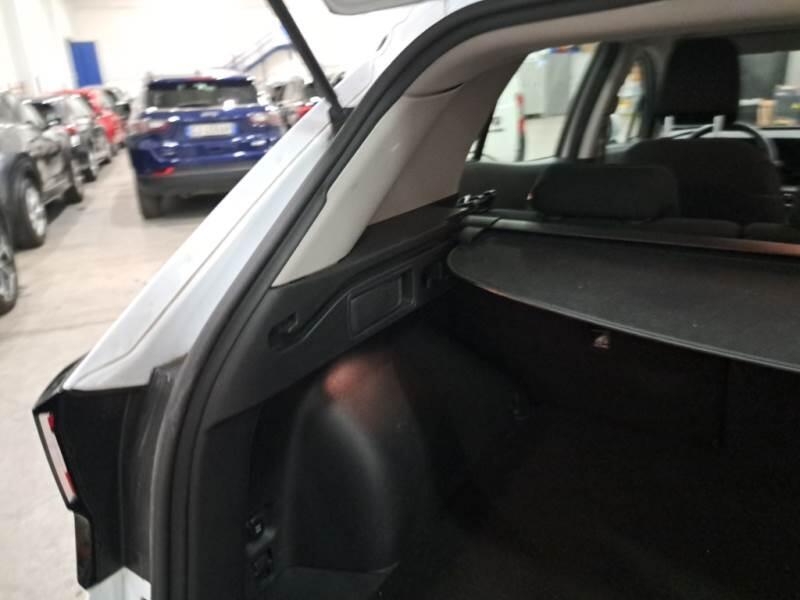 Kia Sportage SUV 1.6 CRDI MHEV BUSINESS 2WD DCT - foto 42
