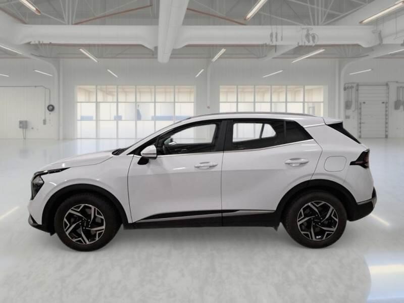 Kia Sportage SUV 1.6 CRDI MHEV BUSINESS 2WD DCT - foto 8