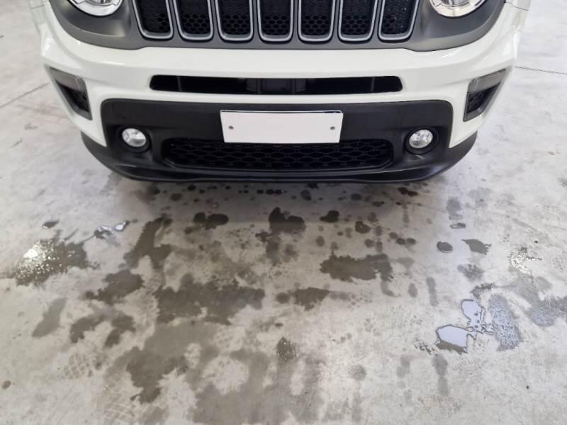 Jeep Renegade SUV 1.3 T4 PHEV 190CV BUSINESS PLUS 4XE AUTO - foto 22