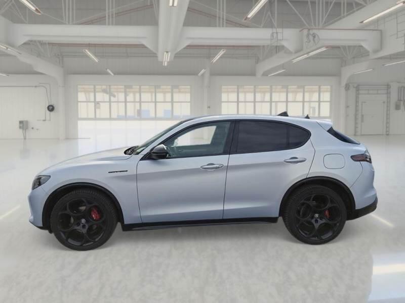Alfa Romeo Stelvio SUV 2.2 TD 210 CV COMPETIZIONE AT8 Q4 - foto 8