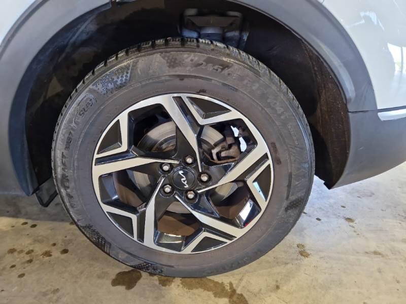 Kia Sportage SUV 1.6 CRDI MHEV BUSINESS 2WD DCT - foto 19