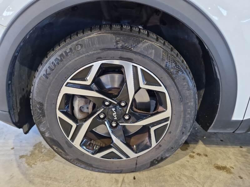 Kia Sportage SUV 1.6 CRDI MHEV BUSINESS 2WD DCT - foto 20