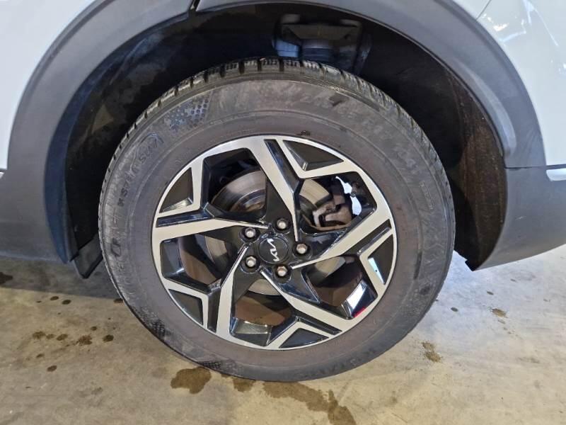 Kia Sportage SUV 1.6 CRDI MHEV BUSINESS 2WD DCT - foto 40