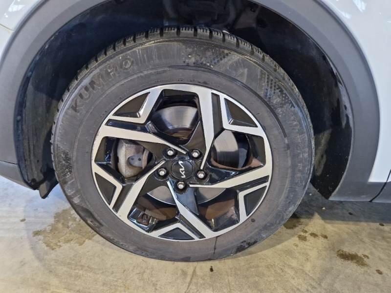 Kia Sportage SUV 1.6 CRDI MHEV BUSINESS 2WD DCT - foto 42