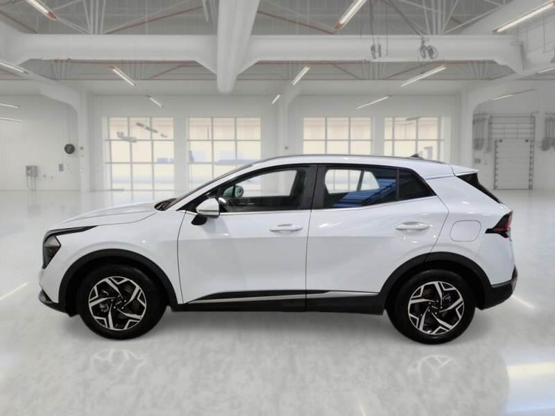 Kia Sportage SUV 1.6 CRDI MHEV BUSINESS 2WD - foto 8