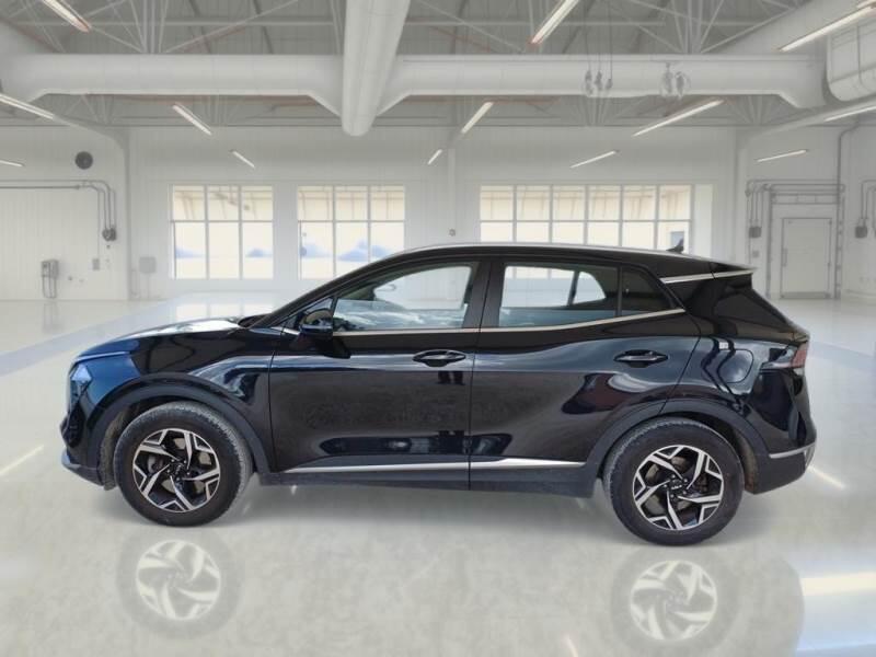 Kia Sportage SUV 1.6 CRDI MHEV BUSINESS 2WD DCT - foto 8