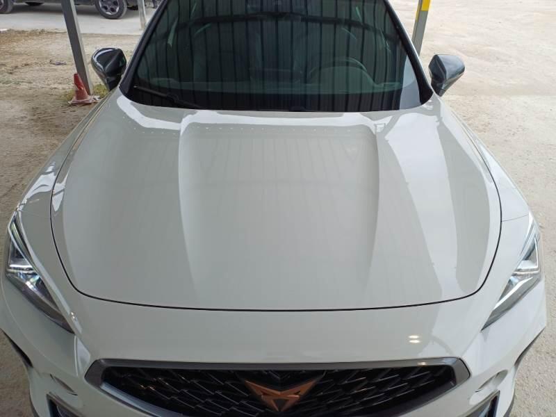 Cupra Formentor SUV 1.4 E-HYBRID DSG - foto 22