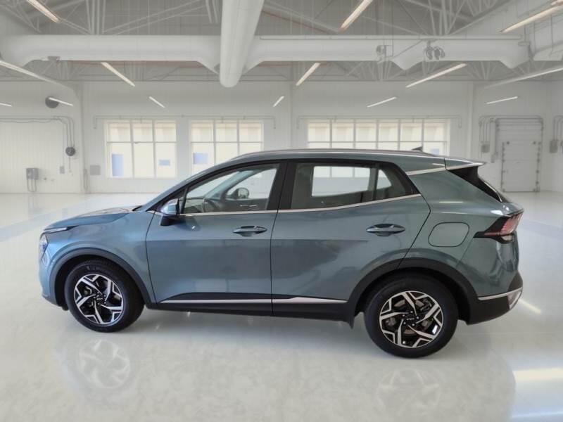Kia Sportage SUV 1.6 CRDI MHEV BUSINESS 2WD DCT - foto 8