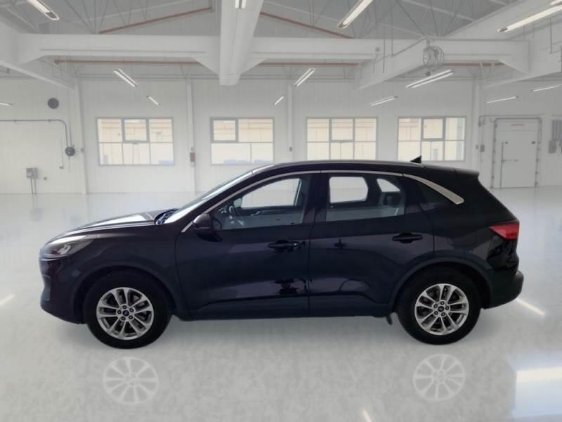 Ford Kuga 1.5 ECOBLUE 120CV 2WD TITANIUM BUS. AUTO - foto 8