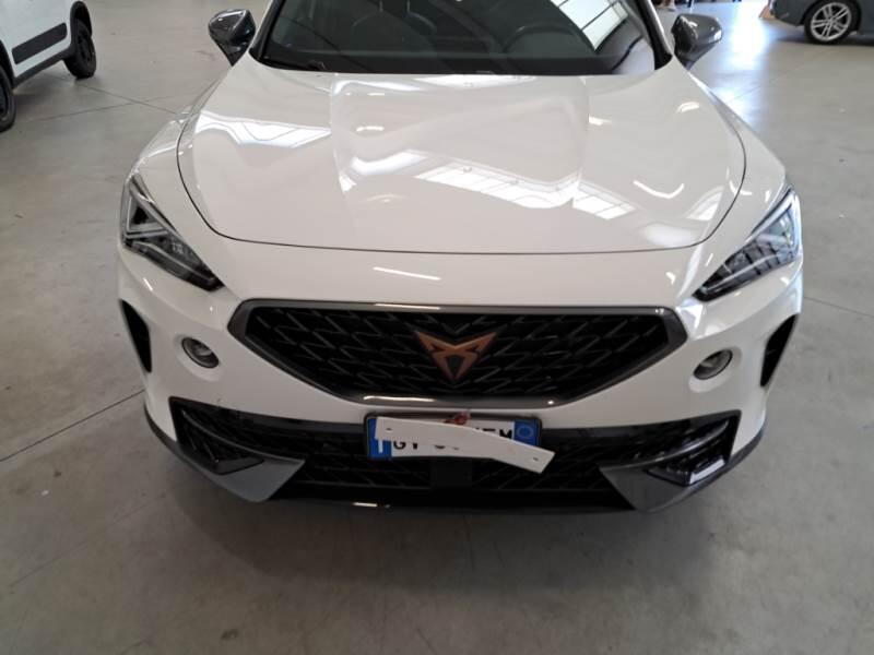 Cupra Formentor SUV 2.0 TDI 4DRIVE DSG - foto 29
