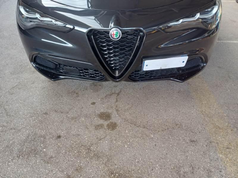 Alfa Romeo Stelvio 2.2 TD 210 CV SPRINT AT8 Q4 - foto 47