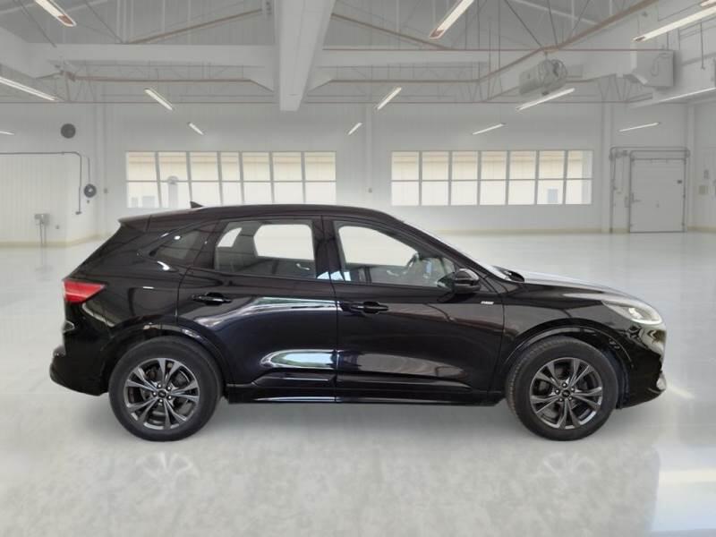 Ford Kuga 2.0 ECOBLUE 120CV 2WD ST-LINE AUTO - foto 7