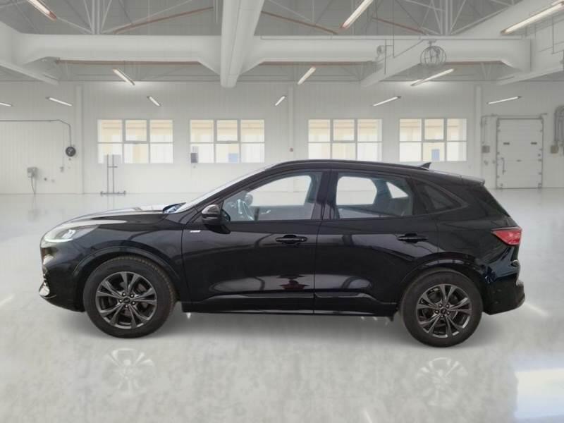 Ford Kuga 2.0 ECOBLUE 120CV 2WD ST-LINE AUTO - foto 8