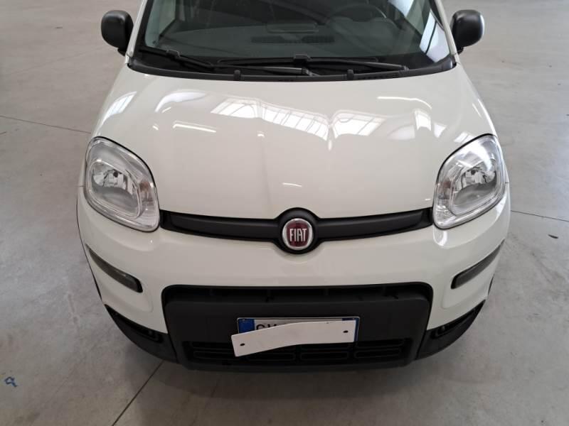 Fiat Panda 1.0 FIREFLY 70CV SeS HYBRID - foto 23