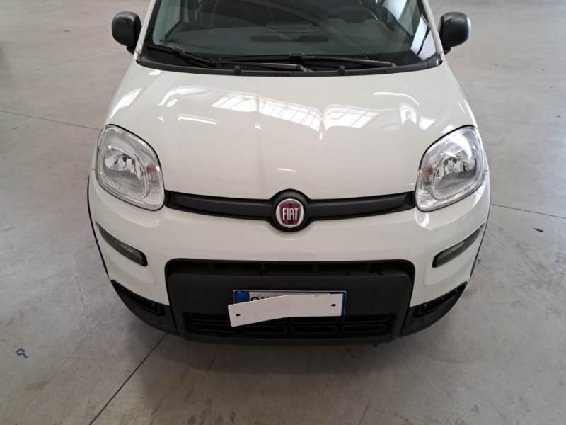 Fiat Panda 1.0 FIREFLY 70CV SeS HYBRID - foto 25