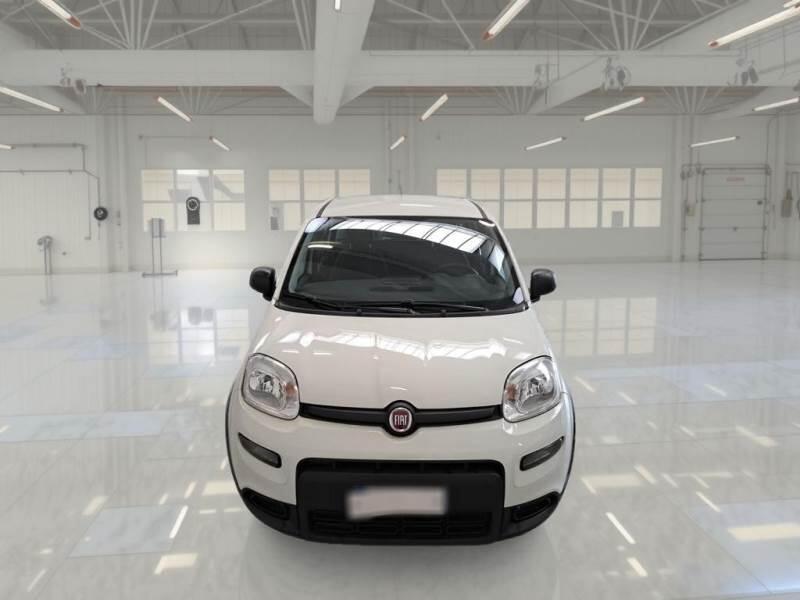 Fiat Panda 1.0 FIREFLY 70CV SeS HYBRID - foto 6