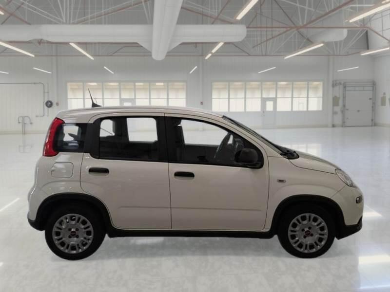 Fiat Panda 1.0 FIREFLY 70CV SeS HYBRID - foto 7