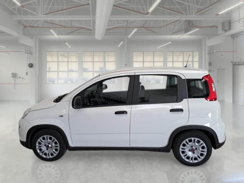 Fiat Panda 1.0 FIREFLY 70CV SeS HYBRID - foto 8