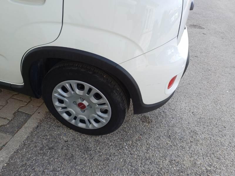 Fiat Panda 1.0 FIREFLY 70CV SeS HYBRID - foto 46