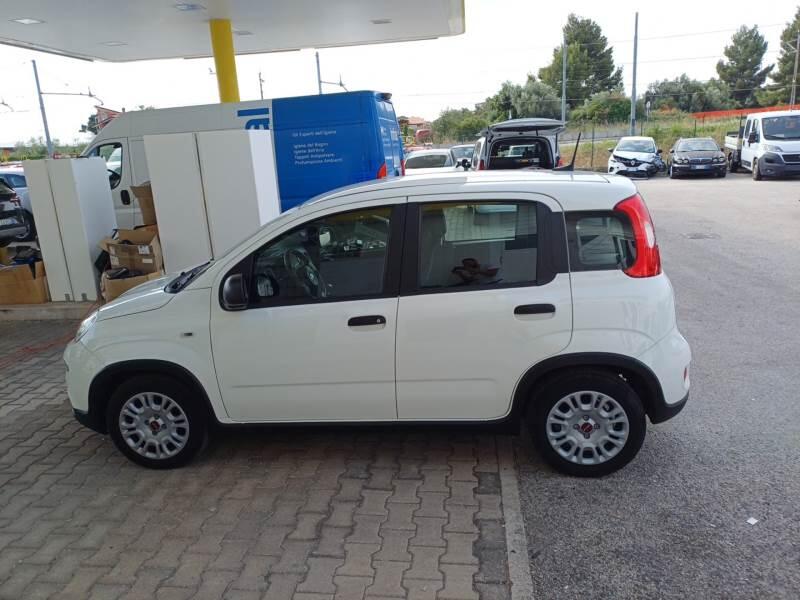 Fiat Panda 1.0 FIREFLY 70CV SeS HYBRID - foto 8