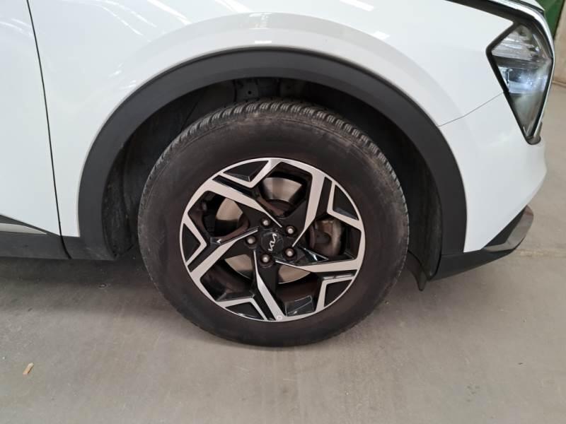 Kia Sportage SUV 1.6 CRDI MHEV BUSINESS 2WD - foto 16