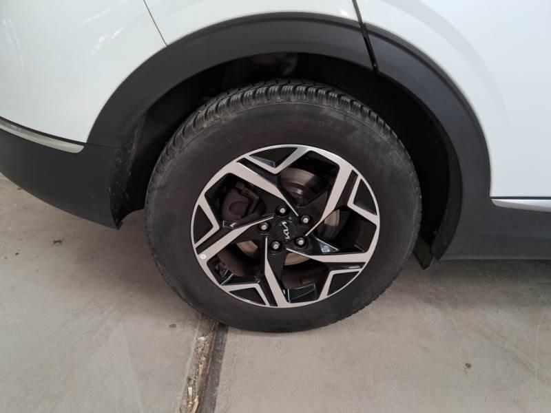 Kia Sportage SUV 1.6 CRDI MHEV BUSINESS 2WD - foto 17