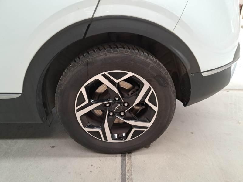 Kia Sportage SUV 1.6 CRDI MHEV BUSINESS 2WD - foto 19