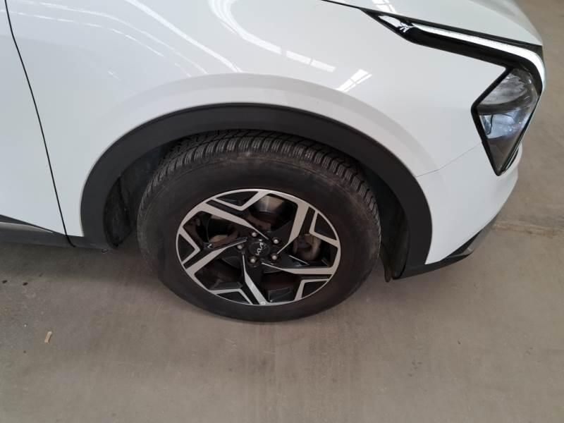 Kia Sportage SUV 1.6 CRDI MHEV BUSINESS 2WD - foto 80