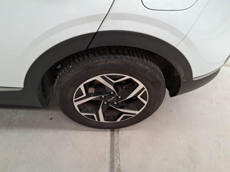 Kia Sportage SUV 1.6 CRDI MHEV BUSINESS 2WD - foto 85