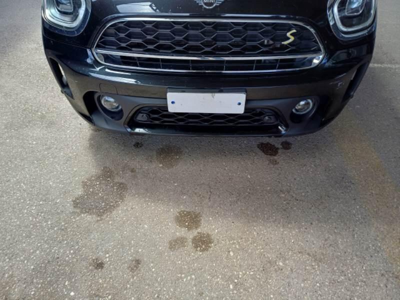 Mini Mini COUNTRYMAN 2020 5P BERLINA COOPER S E CLASSIC 4WD AUTOMATICA - foto 31