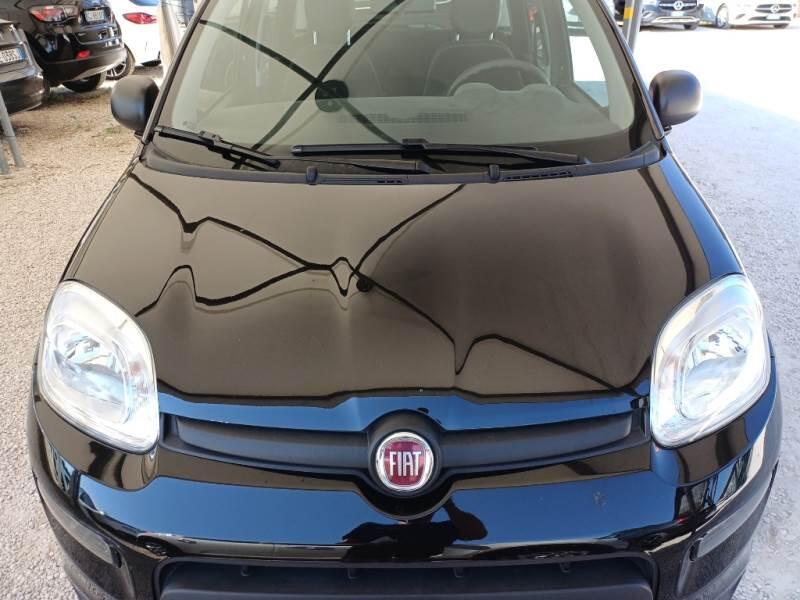 Fiat Panda 1.0 FIREFLY 70CV SeS HYBRID - foto 21