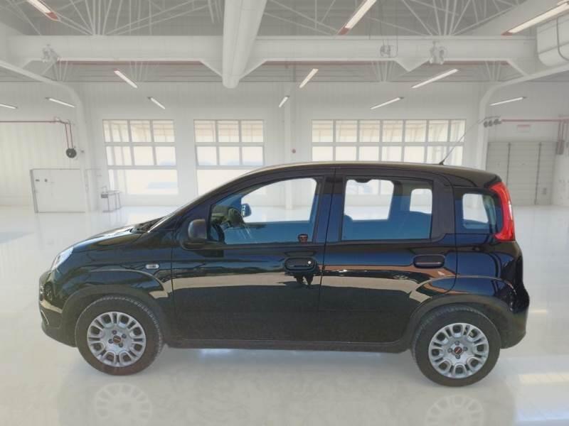 Fiat Panda 1.0 FIREFLY 70CV SeS HYBRID - foto 8